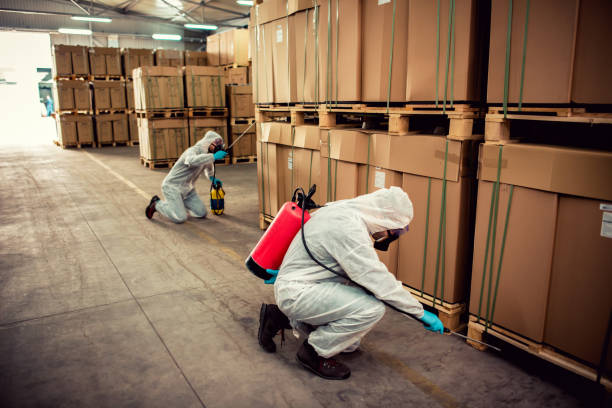 Best Ant Control Services  in Chandler, IN