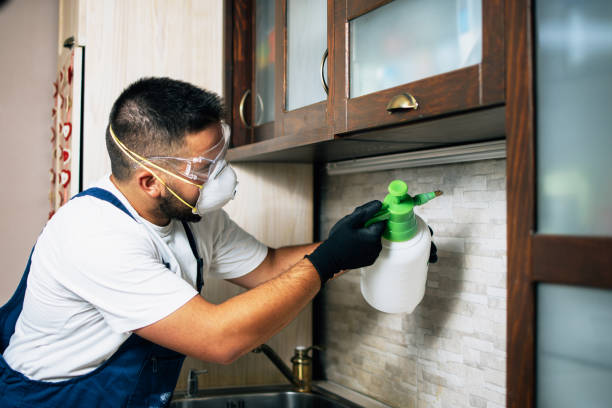 Best Affordable Pest Control Services  in Chandler, IN
