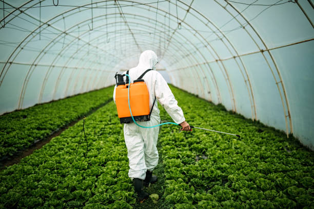 Best Pest Inspection Near Me  in Chandler, IN