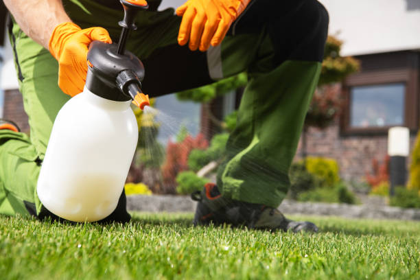 Best Pest Removal Services  in Chandler, IN