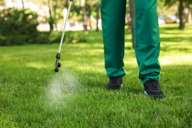 Professional Pest Control in Chandler, IN
