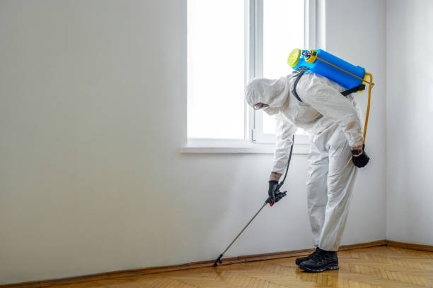 Best Pest Prevention Services  in Chandler, IN