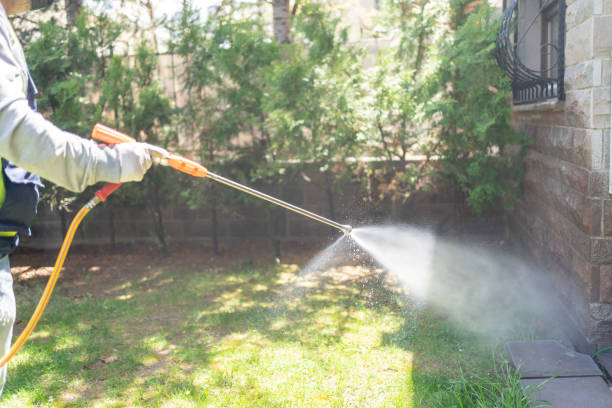 Best Wildlife Control Services  in Chandler, IN