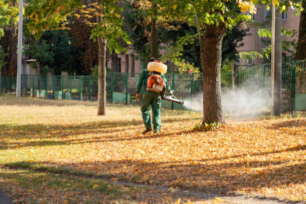Best Pest Prevention Services  in Chandler, IN