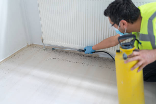 Best Best Pest Control Companies  in Chandler, IN
